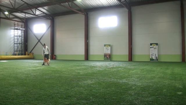 Тренировочный Есина Светлана Павловна и ДЕМИШСТАР МАСАРУ САН смотреть онлайн