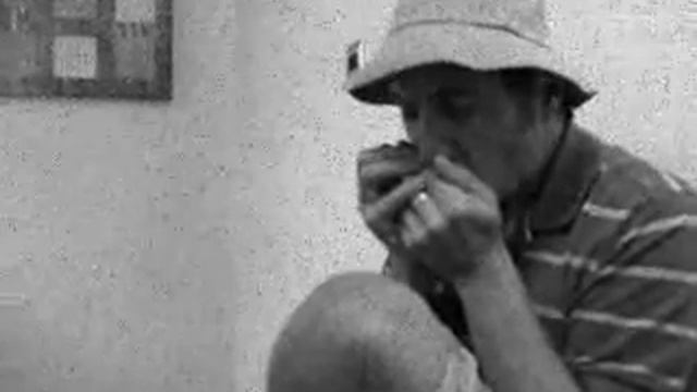 Blues Harmonica Riff with tab ( C Harp in G ) смотреть онлайн