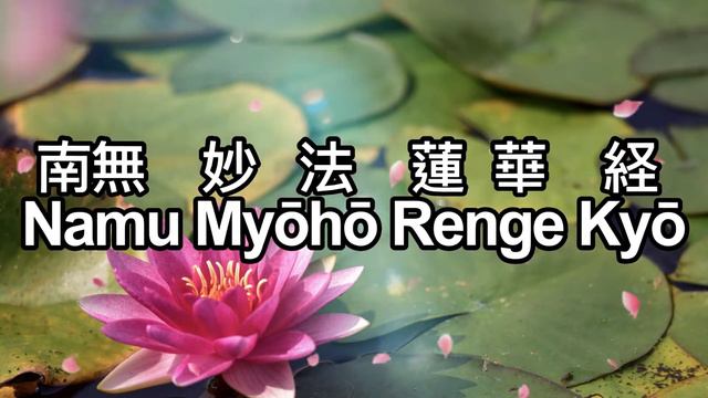 Namu Myōhō Renge Kyō 南無妙法蓮華経 Daimoku なむみょうほうれんげきょうsaddharmapuNDariika-suutra सद्धर्मपुण्डरीक सूत्र
