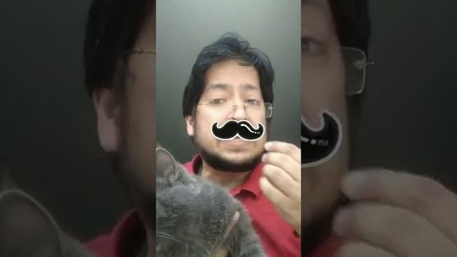 Описание животных по-испански смотреть онлайн