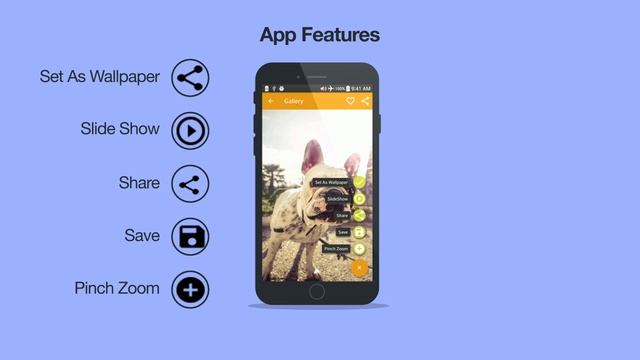Animal Wallpapers HD Images Android App смотреть онлайн