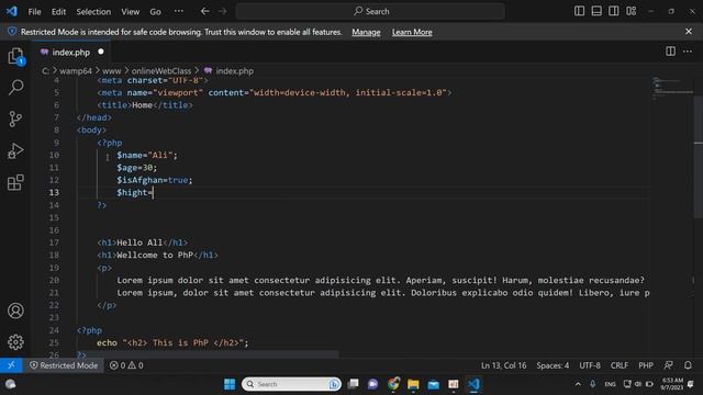 003 PHP Variables, echo and print смотреть онлайн