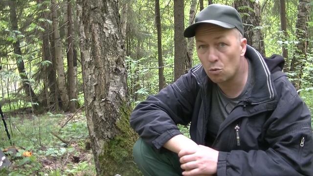 Старая дорога.  Сравнение катушек Minlab и Coiltek.  Предварительные выводы, размышления. #171
