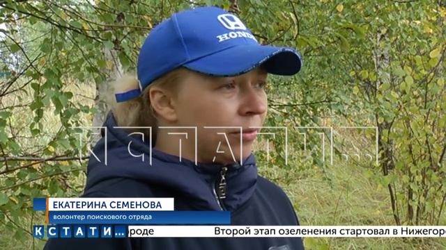 Сотрудники МЧС и волонтеры начали охоту на грибников, не вернувшихся с тихой охоты смотреть онлайн