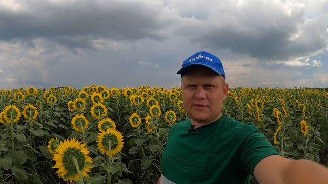 ЛИСТЕГО® Про, Самара смотреть онлайн