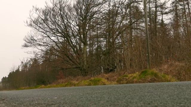 Honda Hornet 600 flyby exhaust sound смотреть онлайн