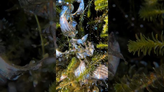 Байкал, Россия