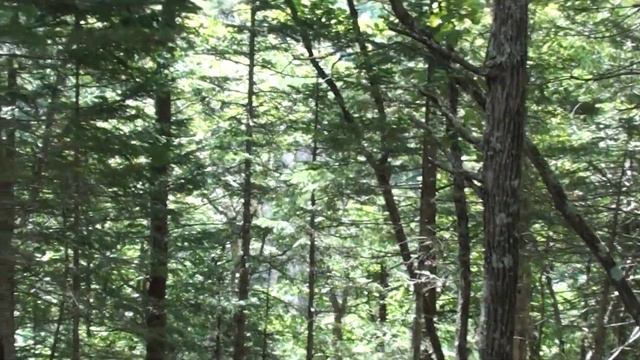 В гостях у Черного Шамана смотреть онлайн