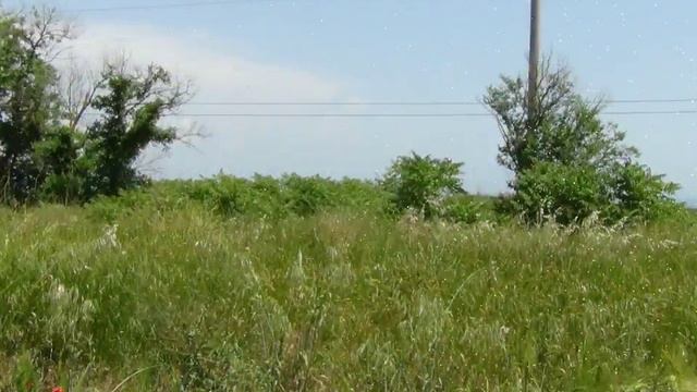 Продажа участков с домом в дачном массиве Город Герой Керчь смотреть онлайн