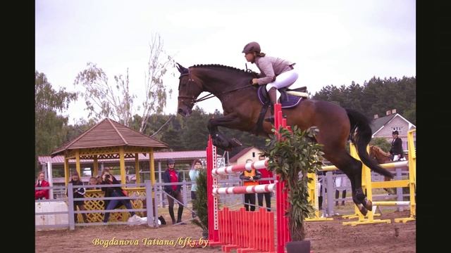Что такое конкур? смотреть онлайн