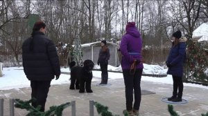 ДТ-112. Консультация по выбору породы.