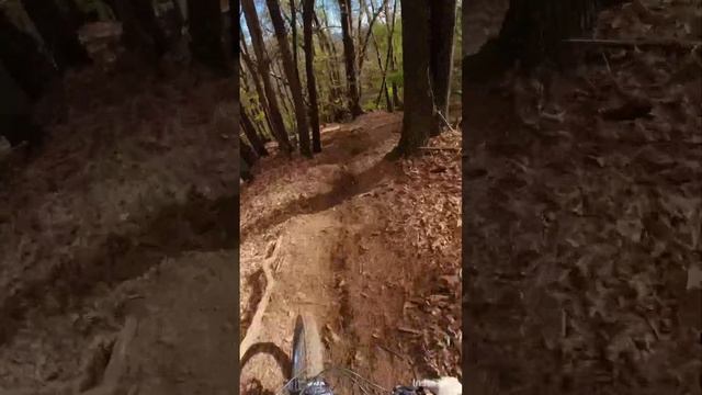 Trail Samba смотреть онлайн