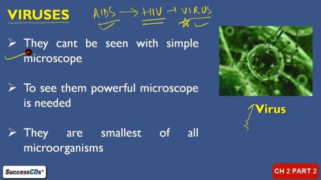 Microorganisms Class 8 (2/5) Science Chapter 2- Types of micro organisms смотреть онлайн