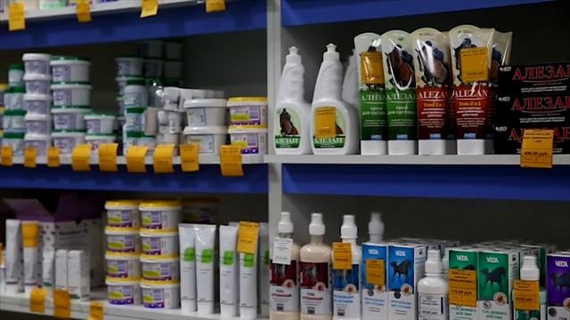 Выявлены ветеринарные аптеки без лицензии смотреть онлайн