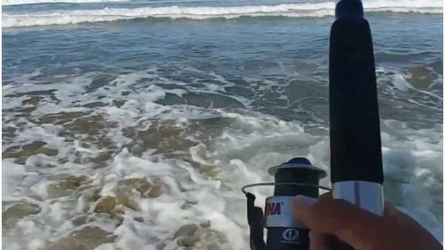 BERKLEY GULP SAND WORMS CATCH WHAT!??- MORRO BAY смотреть онлайн