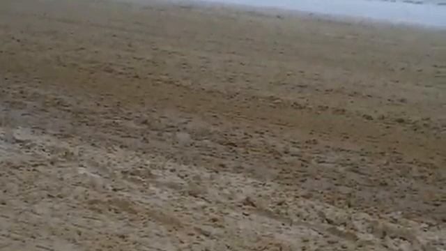 24 03 13 снег машины PIC_0065 смотреть онлайн