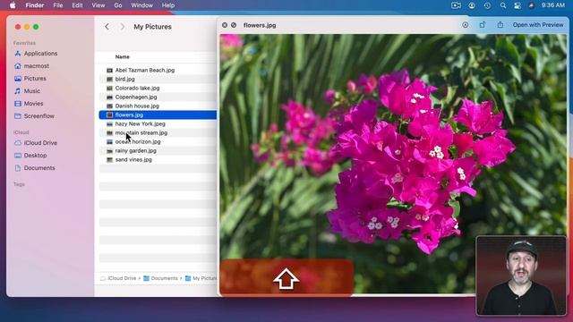 Use Quick Look Instead Of Preview To View Files смотреть онлайн