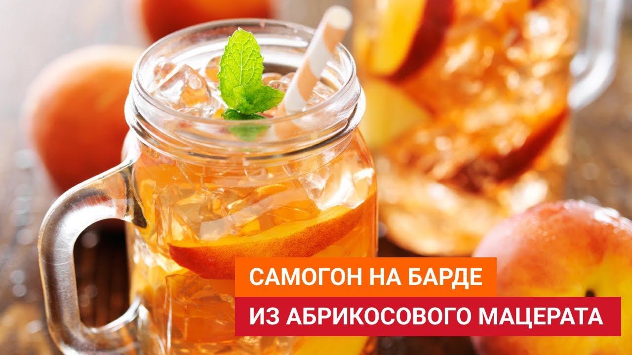 сДЖ 22: Самогон на барде от абрикосового мацерата смотреть онлайн