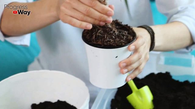 ПОДСЫПАЮ ПО ГОРСТОЧКИ ЭТО ВО ВСЕ ГОРШКИ С ЦВЕТАМИ И ОНИ ЦВЕТУТ БОЖЕСТВЕННО КРАСИВО! смотреть онлайн