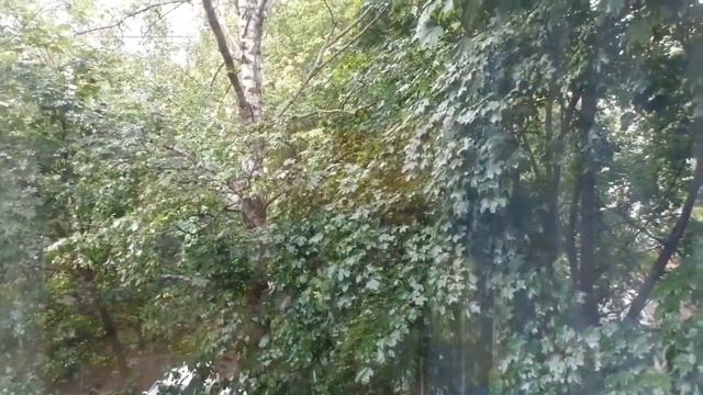 В День Святого Духа смотреть онлайн