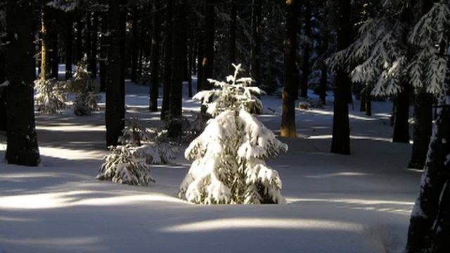 10. Rast (Winterreise) смотреть онлайн