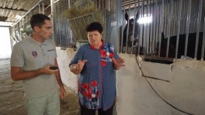 Еланский Конный Завод - ВСЁ О КОНЕВОДСТВЕ, ЛОШАДЯХ И ИХ СОДЕРЖАНИИ! [ ЧАСТЬ 1 ]