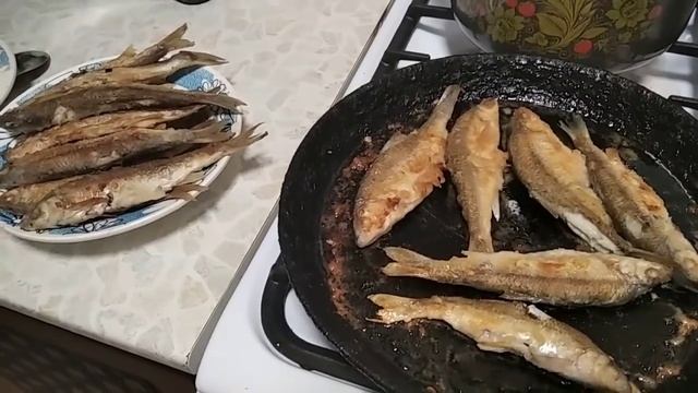 Жарю речную рыбу.Закроют You Tube? смотреть онлайн