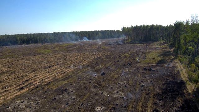 Лесной Пожар МО смотреть онлайн