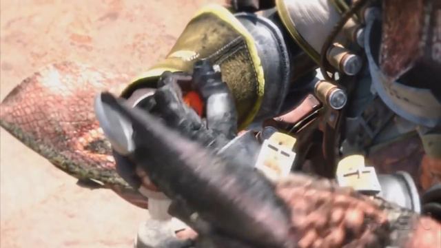 Monster Hunter - Glitter & Gold [GMV] смотреть онлайн