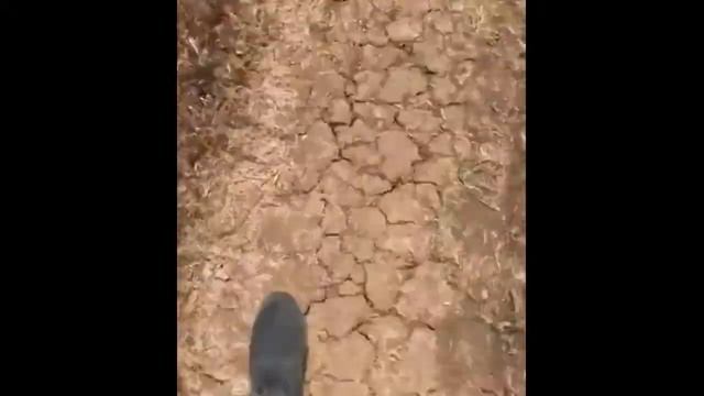 Коттеджный посёлок на берегу Чёрного моря, расстояние до моря смотреть онлайн