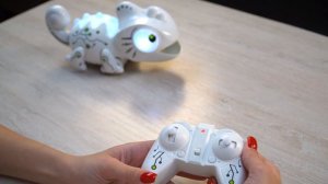 Робот «Хамелеон» IQ BOT ( Код ДМ: 1000848162 )