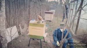 Обработка пчёл щавелевой кислотой с помощью мобильного сублиматора --испарителя.