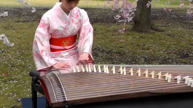 さくら(Sakura)　25絃箏 (25 Strings Koto)
