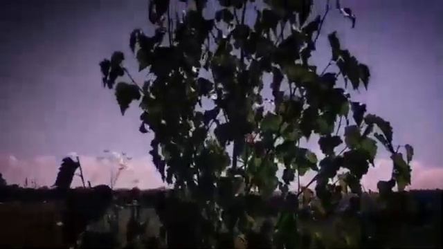 #ЧитаемЕсенина Юлия Коваль - С добрым утром смотреть онлайн