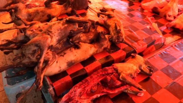 Tomohon Market In North Sulawesi. Snakes, Dog, Bat. Food Of Indonesia.