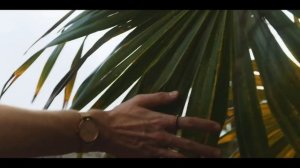 AKCENT - MY PASSION - REMIX VIDEO