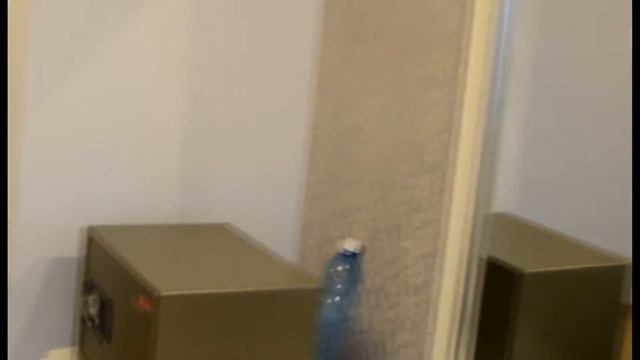 WATER BOTTLE FLIP CHALLENGE ВЫШЕЛ ИЗ-ПОД КОНТРОЛЯ смотреть онлайн