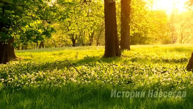 Аркадий заметил, что у него пропали ключи от дома. А едва вернувшись, он замер, увидев… смотреть онлайн