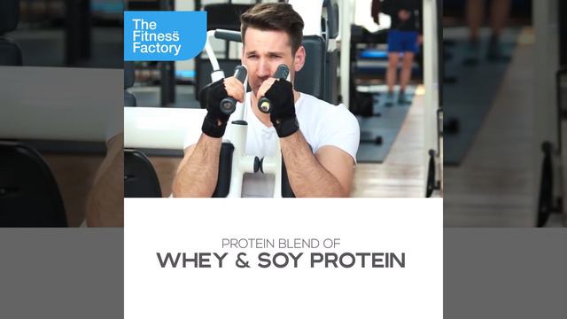 Daily Protein Shake Provide Energy | Support Immunity & Bone Health | The Fitness Factory смотреть онлайн