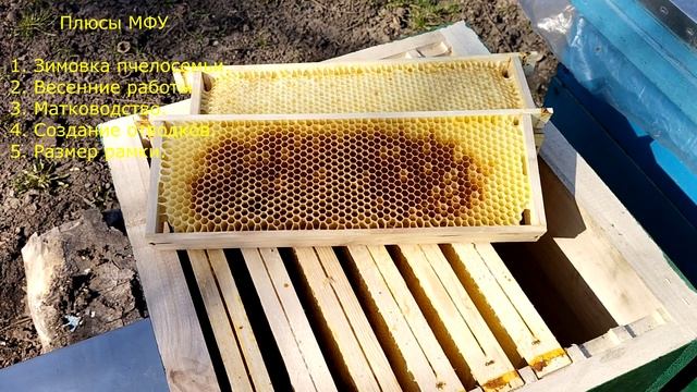 Плюсы и минусы Альпийского улья (МФУ). Pros and cons of the Alpine hive. смотреть онлайн