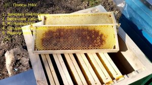Плюсы и минусы Альпийского улья (МФУ). Pros and cons of the Alpine hive.