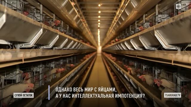 Пронько: Однако весь мир с яйцами, а у нас интеллектуальная импотенция? смотреть онлайн