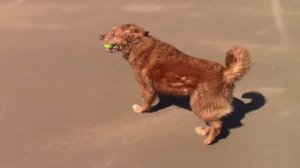 Canon Legria HF R806 Test Video Footage No Enhancement Hand Held