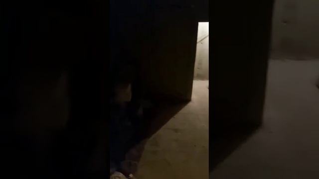 Ставрополь Рогожникова 5 подвал 74кв м. 3.7м потолки. продажа смотреть онлайн