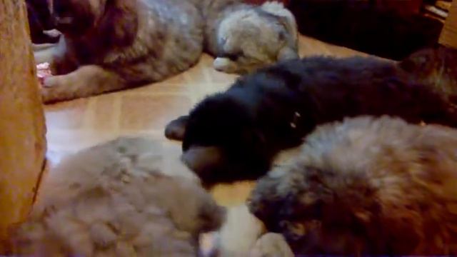 WP 20190307 14 58 20 Pro