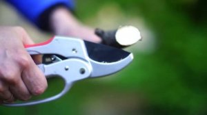 Секатор Самурай с храповым механизмом