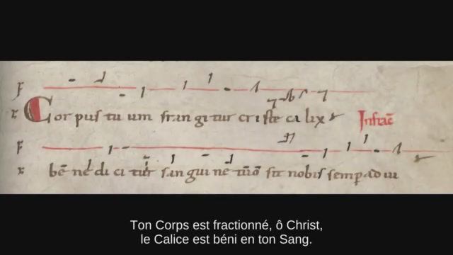 Corpus tuum frangitur