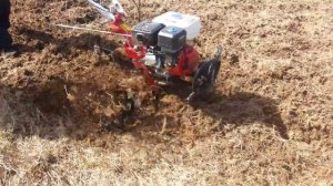 Мотоблок профи 1030 в работе