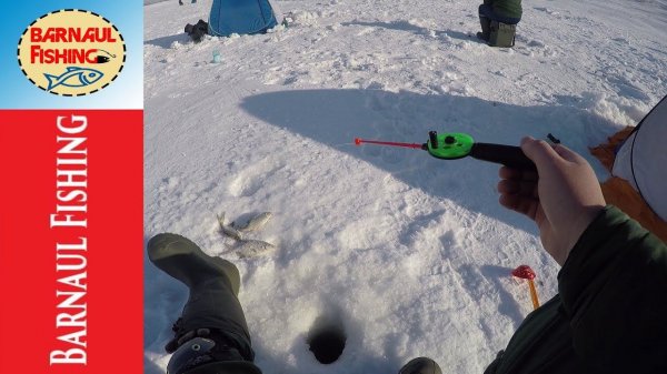 ПЕРВАЯ РЫБАЛКА ПОСЛЕ ГЛУХОЗИМЬЯ .Зимняя рыбалка (Barnaul Fishing)