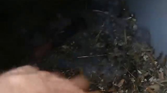 Крольчиха постоянно сидит в гнезде Клетка для кроликов "Искусственная нора - вольера" смотреть онлайн